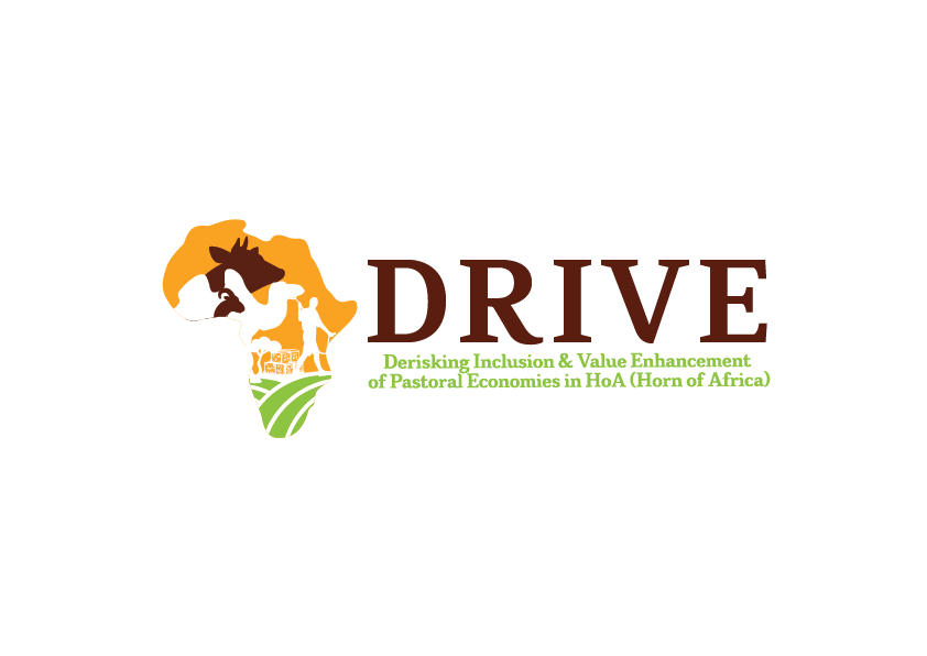 DRIVE Logo