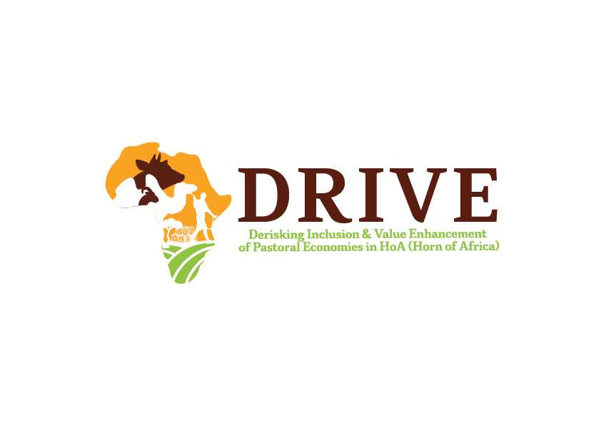 DRIVE Logo