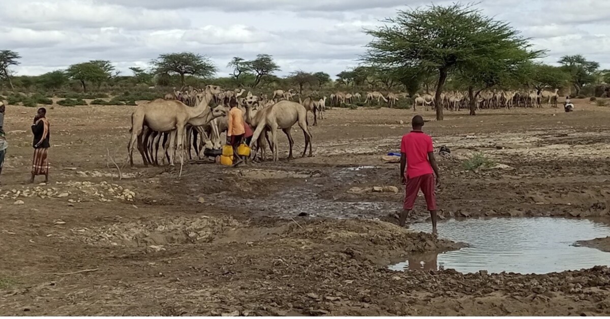 Horn of Africa Initiative - 1727687014056