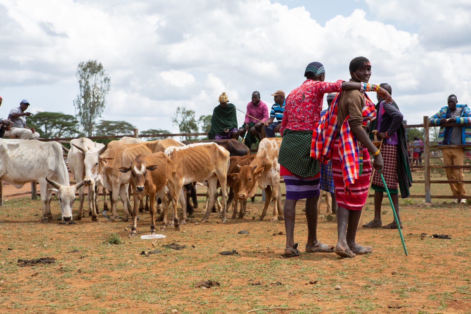 Community Development - pastoralist2